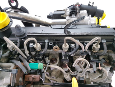 Moteur type K9K702 - Renault CLIO II PH.2 - G1-8506L