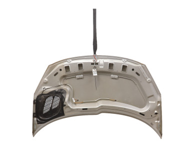 Hood (Bonnet) - Peugeot 206 + - Gris Clair - 7901R5 - T0-6651A
