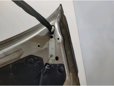 Capot - Peugeot PARTNER TEPEE II PH.1 - Gris Clair - 00007901P7 - L0-5037L