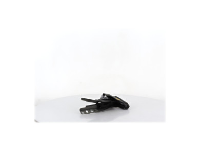 Charnières de capot - Fiat BRAVO II PH.1 - Gris Fonce - 0000051817778 - T0-3993C