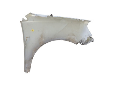 Left front fender - Volkswagen POLO IV PH.2 - Gris Clair - 6Q0821105E - S1-0197H