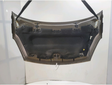 Capot - Peugeot PARTNER II PH.3 - Marron Clair - 00007901P7 - Z1-8473U