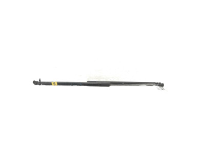 Hood gas spring - Dacia DUSTER II PH.1 - Gris Clair - 654702645R - X1-1615U