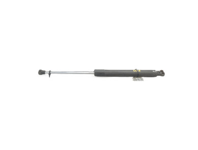 Trunk gas spring (x2) - Renault CLIO III PH.1 - Noir - 8200299546 - S1-0026R