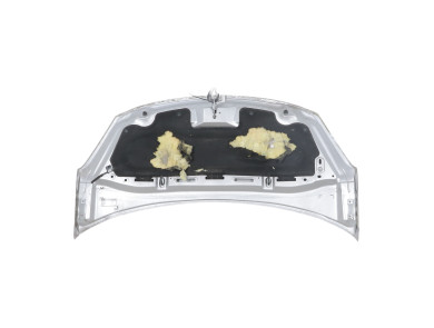 Capot - Citroen C3 II PH.1 - Gris Clair - 00007901R1 - W1-3117C