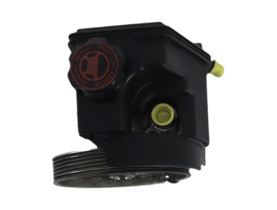 Power steering pump - Peugeot 206 + - 9800248380 - N0-4838Y