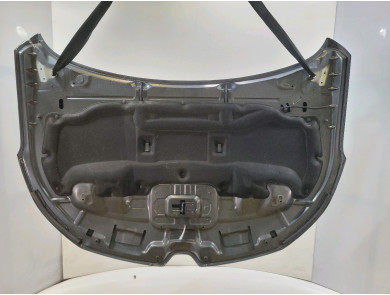 Capot - Renault MEGANE IV PH.1 - Gris Fonce - 651002195R - B1-9875W
