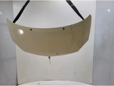 Hood (Bonnet) used - Renault TWINGO - 651003355R