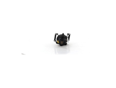 Right front fog light - Hyundai TUCSON I - 922022E000 - V1-8264C