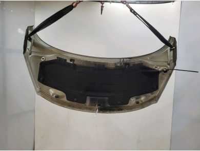 Capot - Peugeot 207 - Gris Clair - 7901N2 - C1-9598G