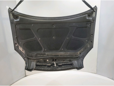 Hood (Bonnet) - Hyundai TUCSON I - Noir - 664002E020 - Y1-8400P
