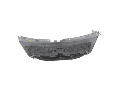 Calandre - Citroen C3 I PH.2 - Blanc - 1611637680 - K1-9220P