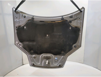 Capot - Renault LAGUNA III PH.1 - Bleu Clair - 651000021R - R1-7264Z