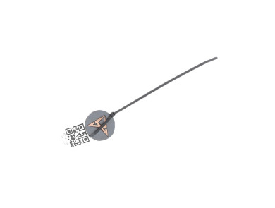 Wheel cover hub cap - CUPRA FORMENTOR - 5FA601171AUPS - P2-3702S