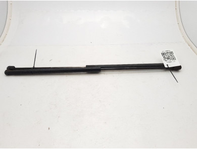 Lot De 2 Vérins à Gaz Pour Coffre Arrière Ford Mustang 2015-2019 - Amortisseurs Hayon, Remplacement Direct Et Facile