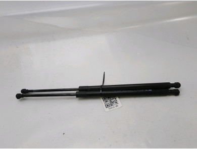 Trunk gas spring (x2) used - Renault SCENIC - 904501497R