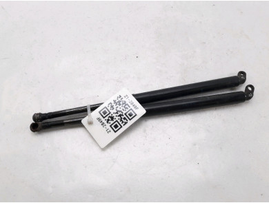 Trunk gas spring (x2) used - BMW SERIE 5 - 51248222913