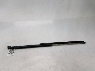 Trunk gas spring (x2) used - Citroen XSARA - 00008731E4