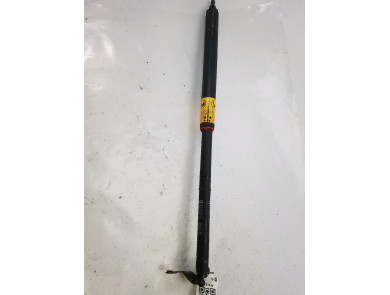 Trunk gas spring (x2) used - Toyota LANDCRUISER - 686500W013