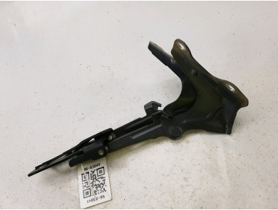 Charnières de capot occasion - Isuzu D-MAX CREW CAB - 8981041002