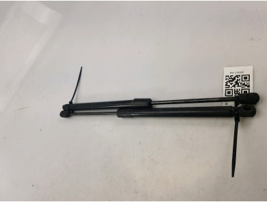 Lot De 2 Vérins Pour Hayon De Coffre Renault Mégane III CC - Neufs, Pièce TB 01192