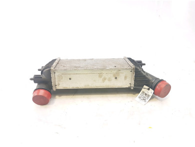 Intercooler - Fiat SCUDO II - 00000384P1 - L0-1938L