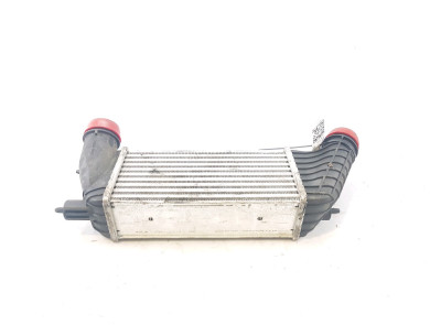 Intercooler - Fiat SCUDO II - 00000384P1 - L0-1938L