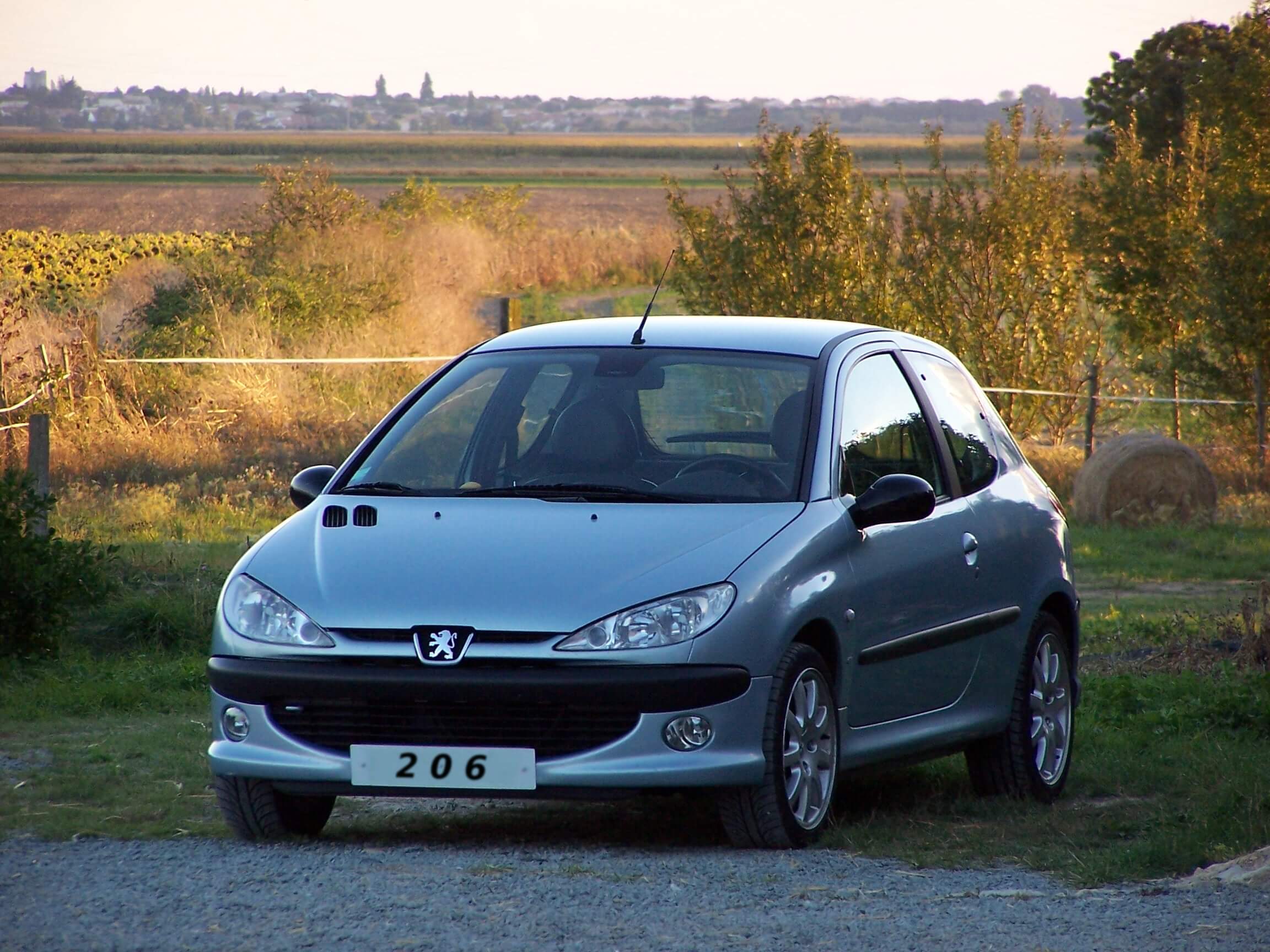 Peugeot 206 vue de face